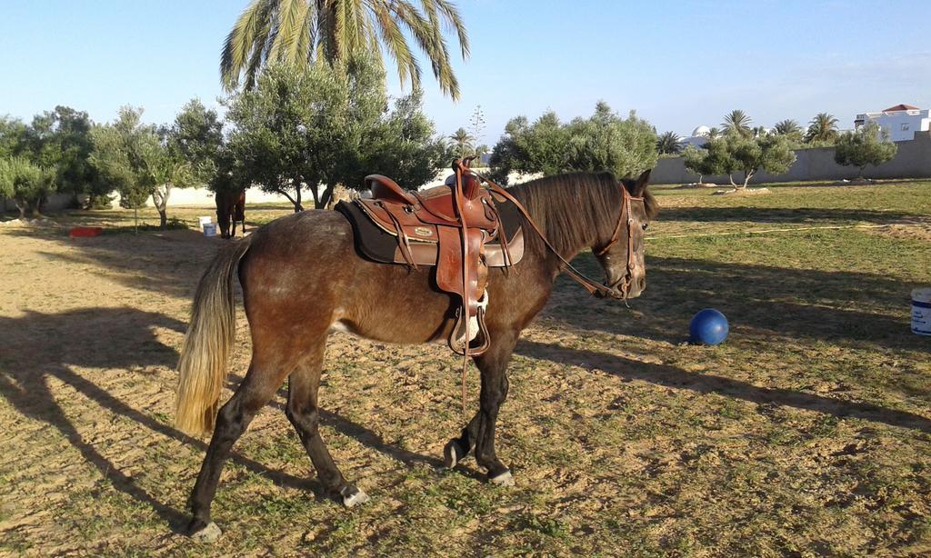 Menzel Churasco Djerba Aghīr Exteriör bild