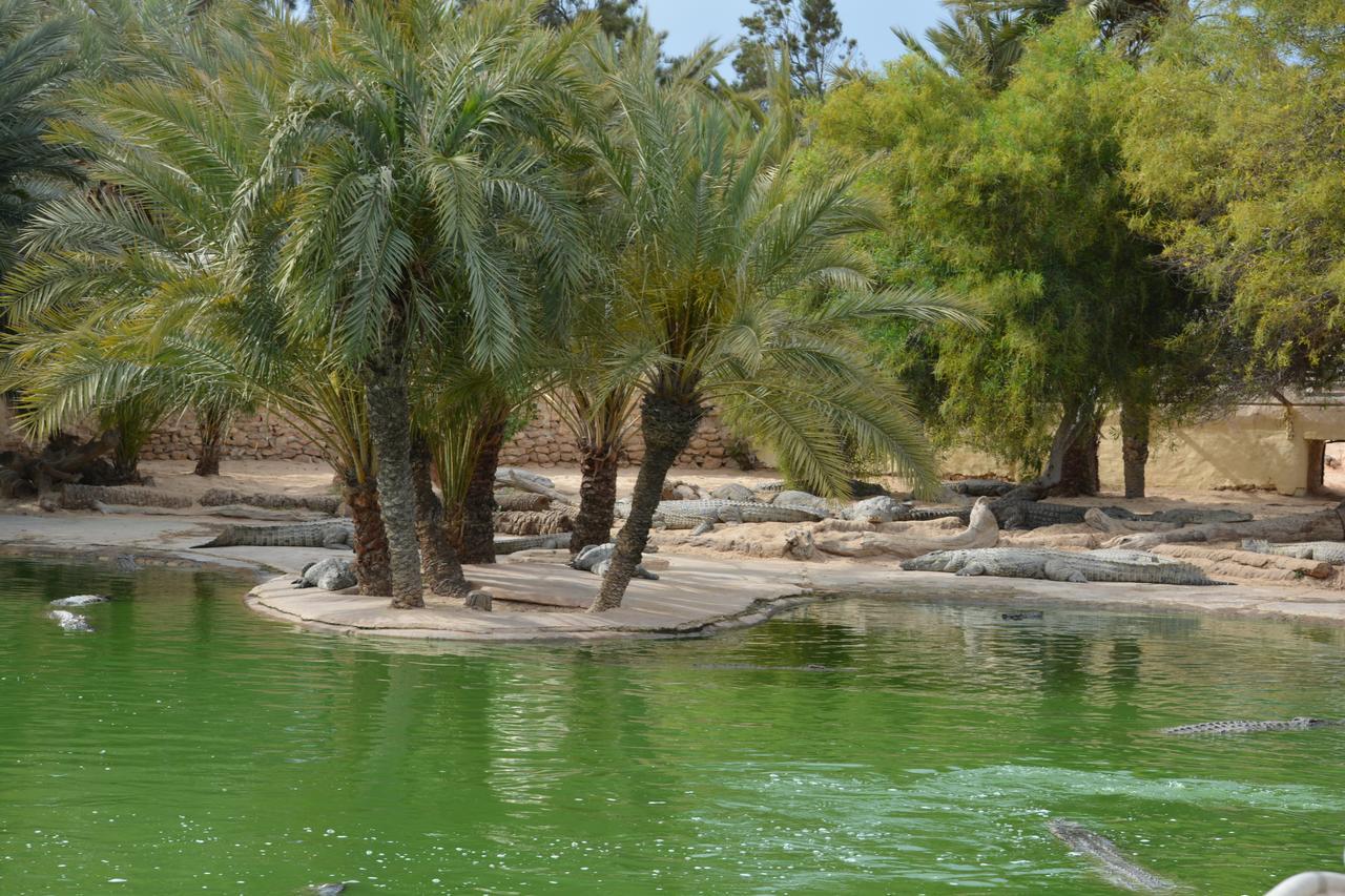 Menzel Churasco Djerba Aghīr Exteriör bild
